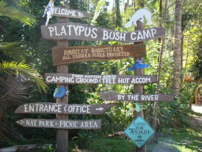 platypus camp
